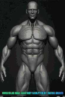 Muscular Man GIF - Muscular Man Basemesh GIFs
