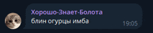 a russian text message with a picture of a cat and the time of 19:05