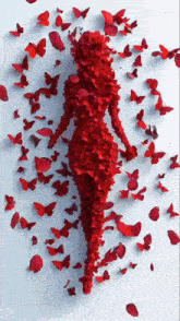a silhouette of a woman made out of red butterflies and rose petals .