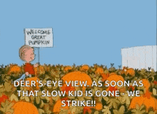 a cartoon of a boy sitting in a pumpkin patch holding a sign that says welcome great pumpkin .