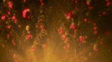 a bunch of red flowers are falling from a tree