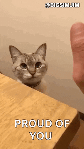 a cat is peeking over a wooden table .