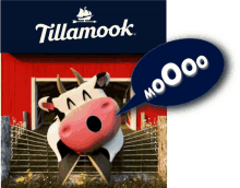 Tillamook Cow Tillamook Moo GIF - Tillamook Cow Tillamook Moo GIFs