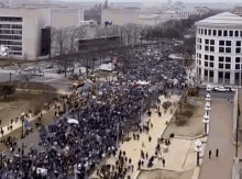 Fdg Protest GIF - Fdg Protest Rally GIFs