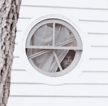 Window Peeping GIF - Peeping Spy Creeping GIFs