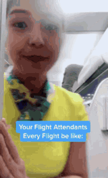 Flight Attendant Greeting Cute Flight Attendant GIF
