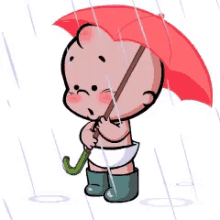 baby umbrella