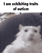 a white cat is sitting on a couch with the words i am exhibiting traits of autism above it