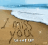 I Miss You Beach GIF - I Miss You Beach What Up GIFs