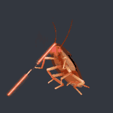 Dancing Cockroach GIF - Dancing Cockroach Moves GIFs