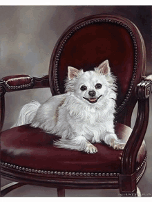 Dog Portraits Dog GIF - Dog Portraits Dog Pets GIFs