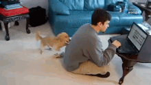 Scratching The Pet Collective GIF - Scratching The Pet Collective Lets Go GIFs