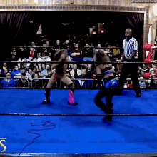 sasha banks mercedes kv chaotic wrestling wrestling chick kick