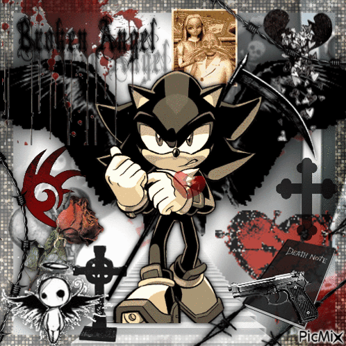 Sonadow Sonic X Shadow GIF - Sonadow Sonic X Shadow Sonic X Shadow