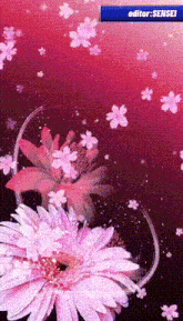 a pink flower is surrounded by smaller pink flowers and the words editor sensei are below it
