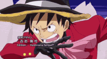 a cartoon character named luffy is wearing a straw hat and red jacket