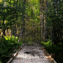 a blurred image of a wooden bridge in the woods with the letters x and i on the bottom