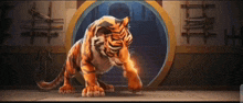 The Tiger'S Apprentice GIF - The Tiger'S Apprentice GIFs