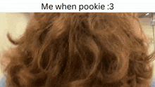 Pookie My Pookie GIF - Pookie My Pookie Dream GIFs