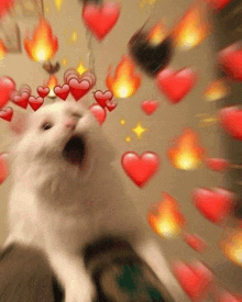 a white cat with red hearts on its head and flames coming out of its mouth .