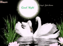 Goodnight Greetings GIF - Goodnight Greetings Messages GIFs