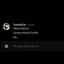 a screenshot of a text message from tuxedocat