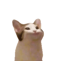 a cat giving a peace sign with the words there that a cat was gone really was surrounding it