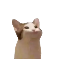 a cat giving a peace sign with the words there that a cat was gone really was surrounding it