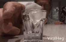 Ice Shot Silly GIF - Ice Shot Silly Cooling Off GIFs