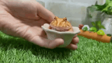 Frog Cup GIF - Frog Cup Place GIFs