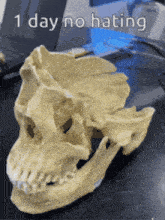 a skull with the words 1 day no hating written on it