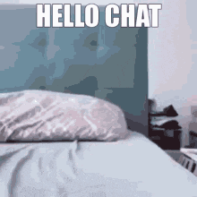 Cat Hello Chat GIF