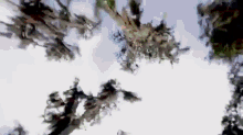 a painting of trees against a blue sky