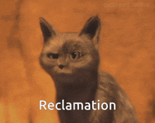 Reclamation GIF - Reclamation GIFs