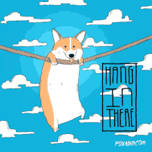 hang in there corgi dog encouragement you can do it