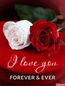 Love You Roses GIF - Love You Roses Glittery GIFs