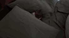 Dont Wake Me Up Morning GIF - Dont Wake Me Up Morning Otter GIFs