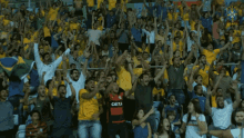 torcida celebrando cbf confederacao brasileira de futebol selecao brasileira sub17 torcida vibrante
