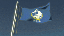 a blue flag with a globe on it