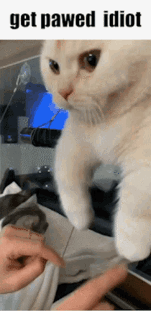 Reaction Wholesome GIF - Reaction Wholesome Cute GIFs