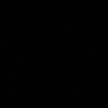 Bacalhau GIF - Bacalhau GIFs