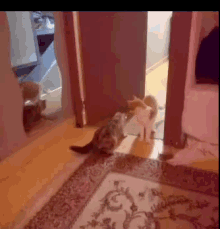 two cats are standing next to each other on a rug