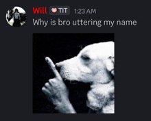 a black and white photo of a dog with the words " why is bro uttering my name " underneath it