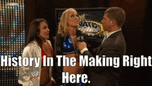 Wwe History In The Making GIF - Wwe History In The Making Michelle Mccool GIFs