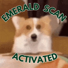 Emerald Scan GIF - Emerald Scan Dog GIFs