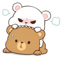 bear cute