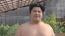 Ura Rikishi GIF - Ura Rikishi Sumo Wrestler GIFs