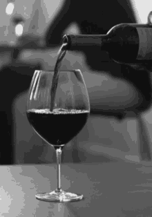 Wine Glass Wine Bottle GIF