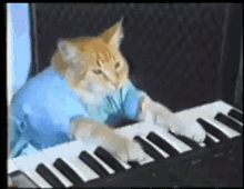 Cat Keyboard GIF