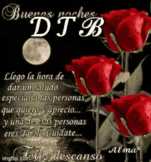 Buenas Noches Dtb GIF